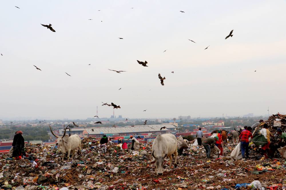 Photograph by geedha