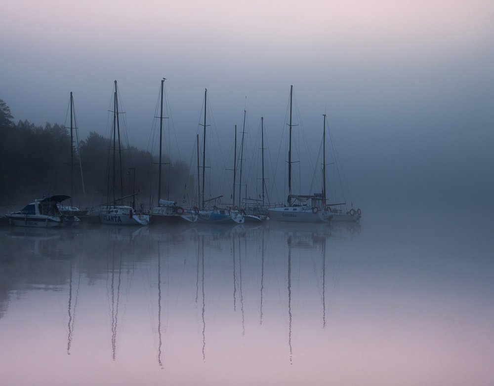 Photograph by Трофимов Алексей