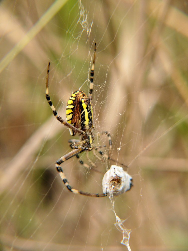 Photograph by Юрий Филицкий