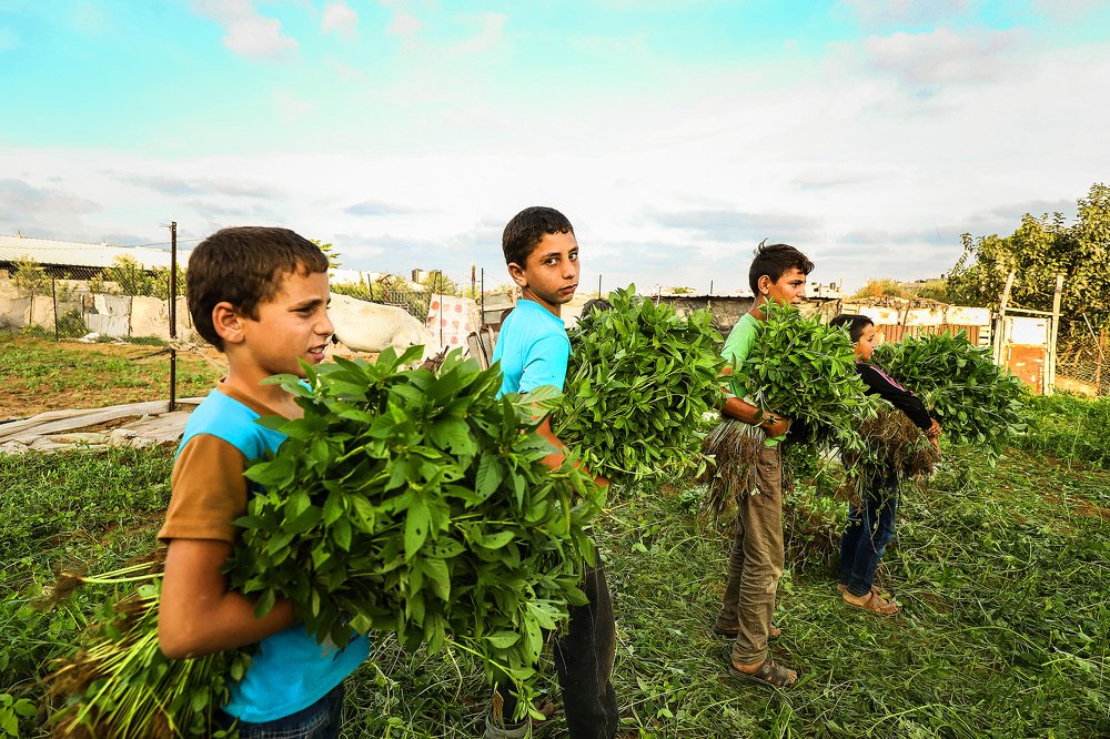 Photograph by Shadi Awad