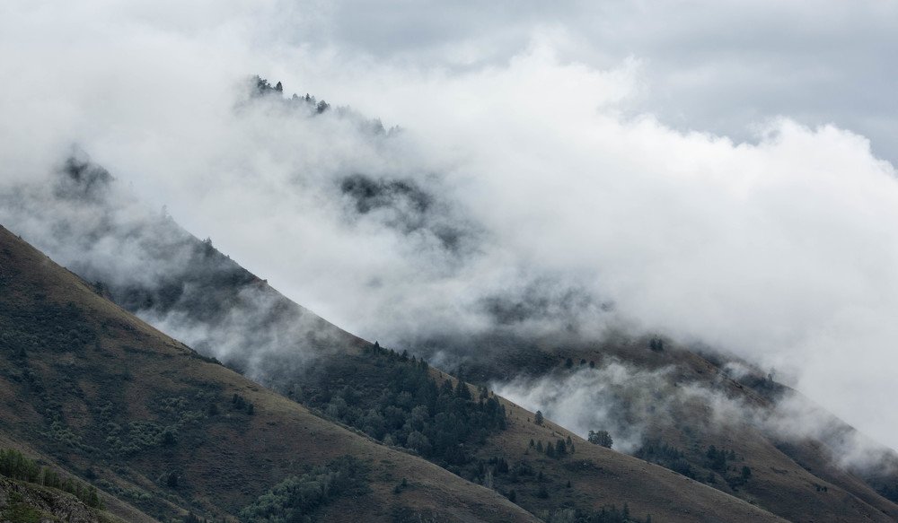 Photograph by Алексей Солоухин