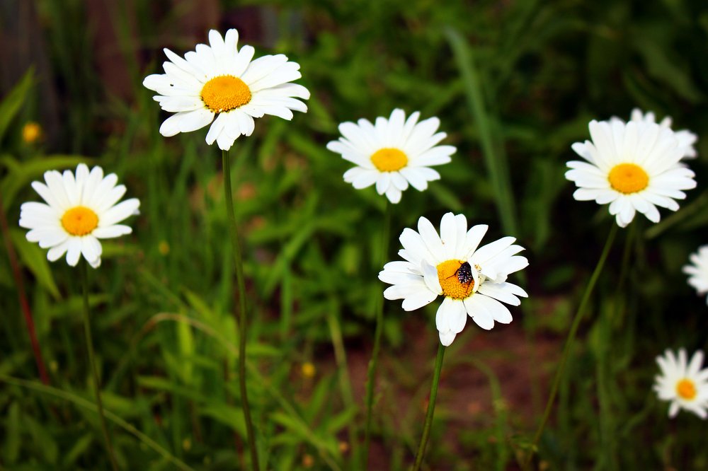 Photograph by Алёна Ковровская