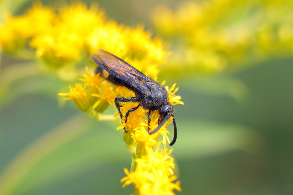 Photograph by Анастасия Сосновская
