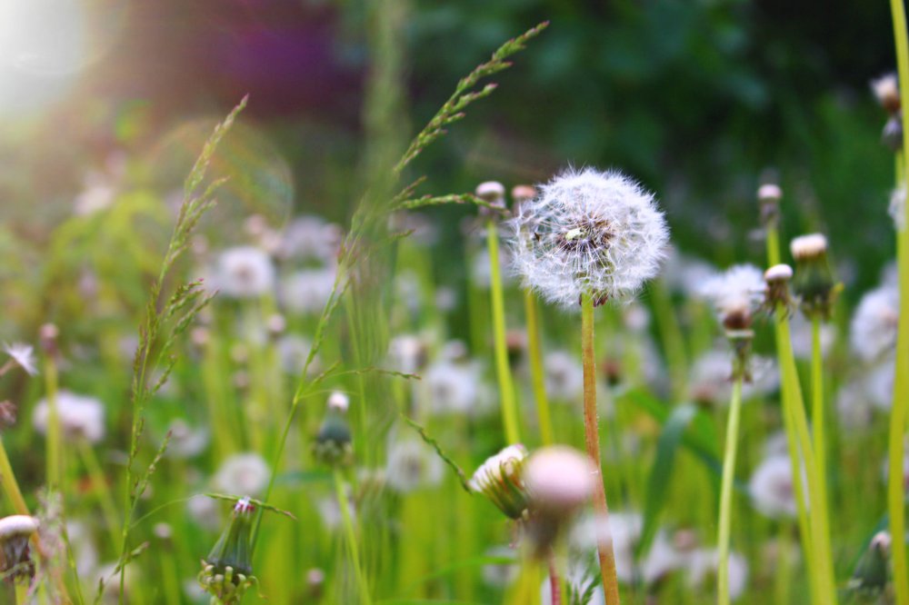 Photograph by Алёна Ковровская