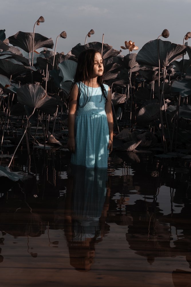 страна чудес