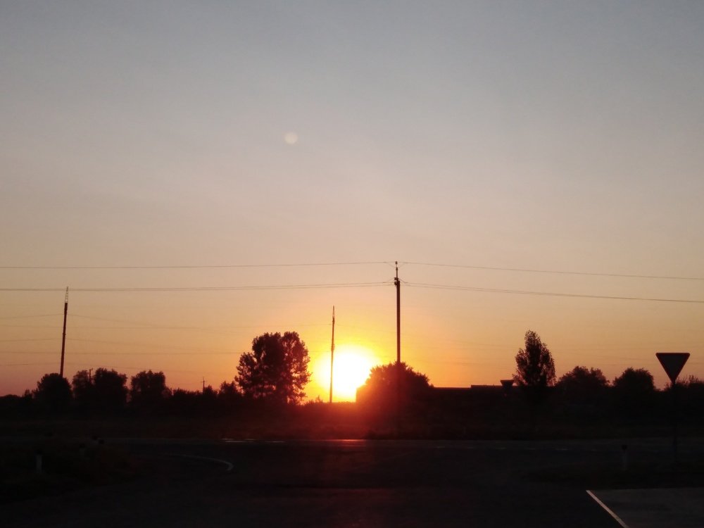 Photo #3549521