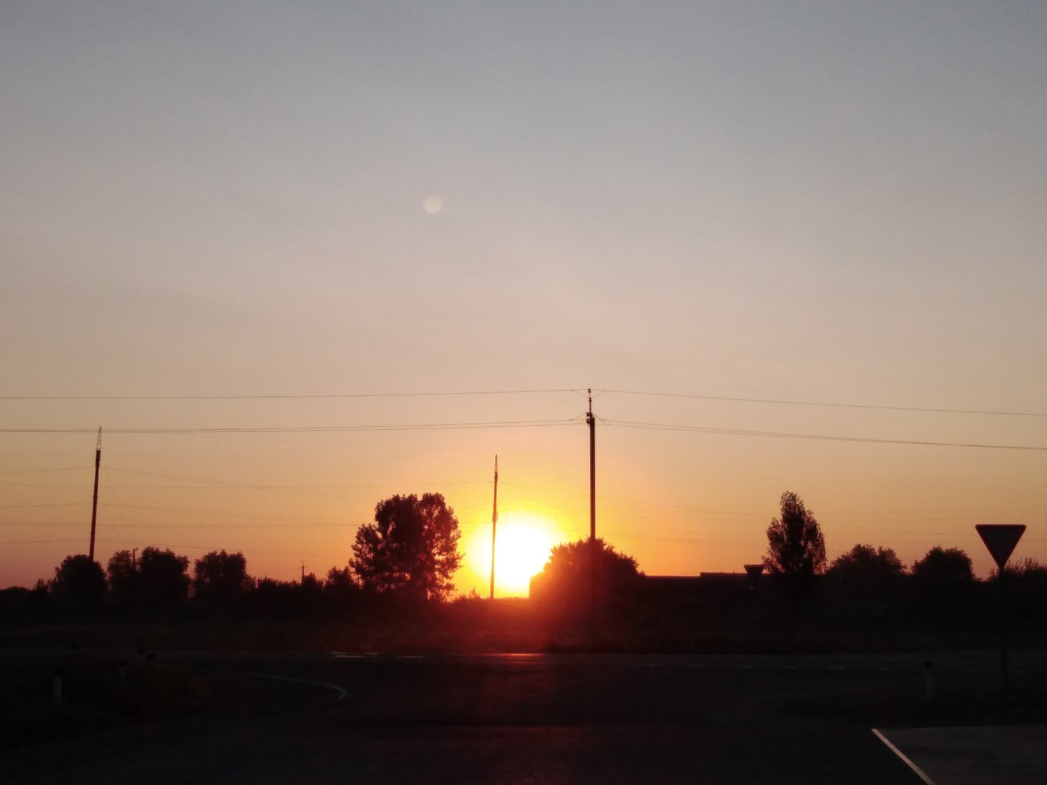 Photo #3549521