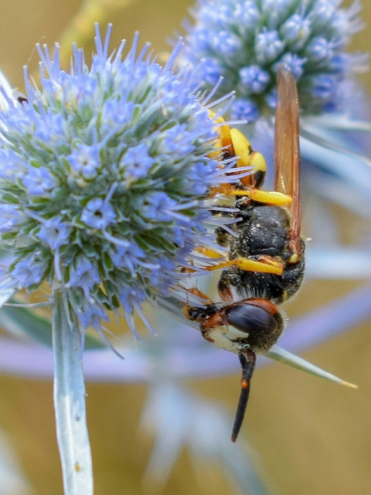 Photograph by Валерий Федяров
