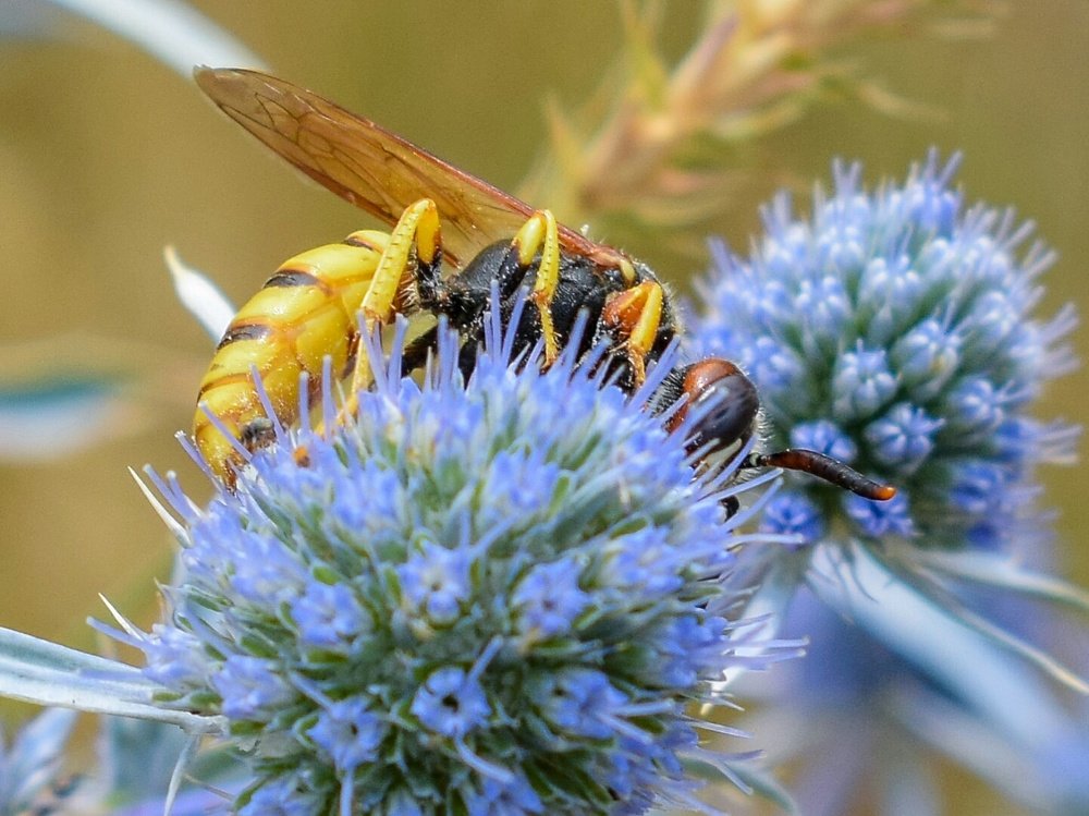 Photograph by Валерий Федяров
