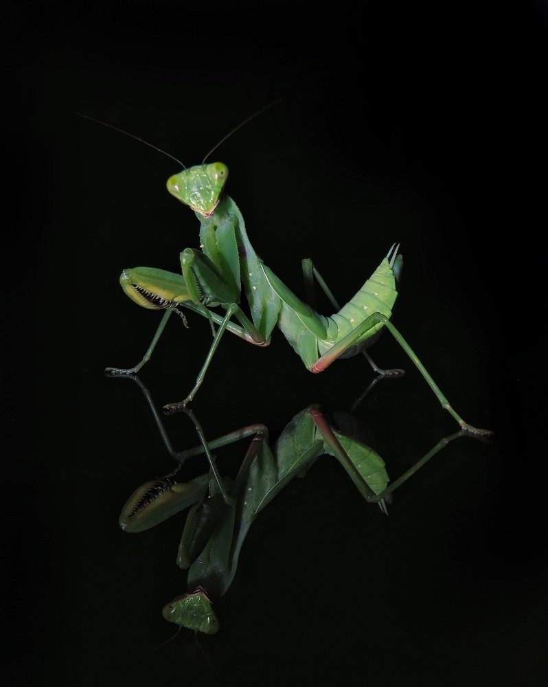 Photograph by Amin Ghaffarian