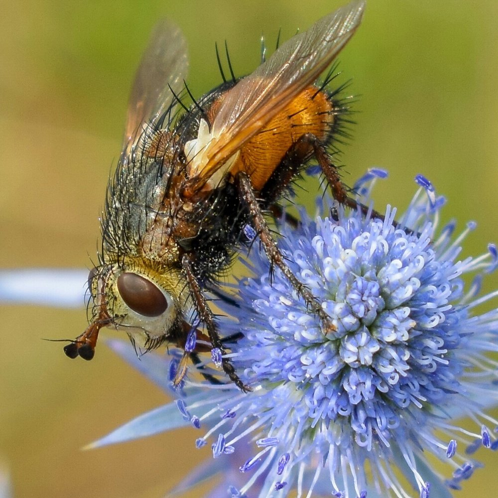 Photograph by Валерий Федяров