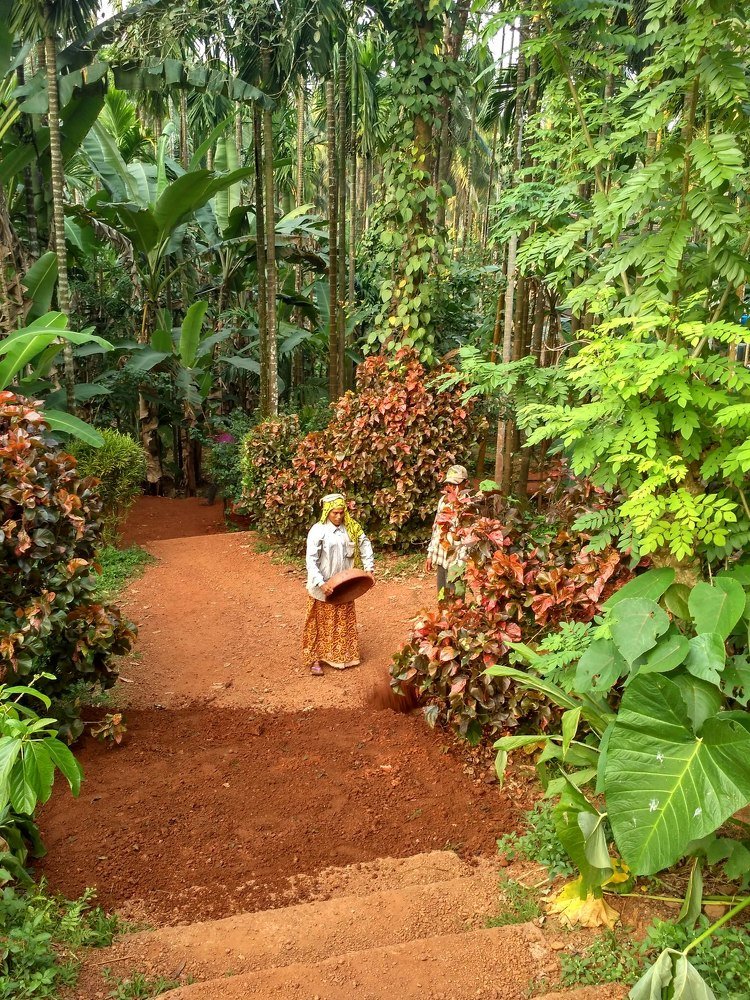 Работа на плантации