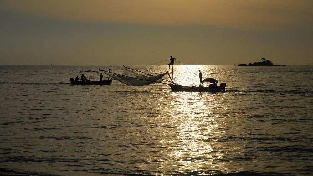 Фотография автора Александр Медведев