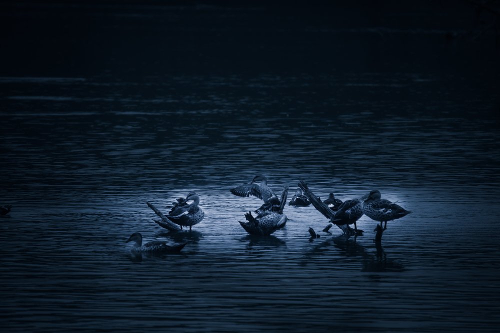 treasures dwell within the ocean!
