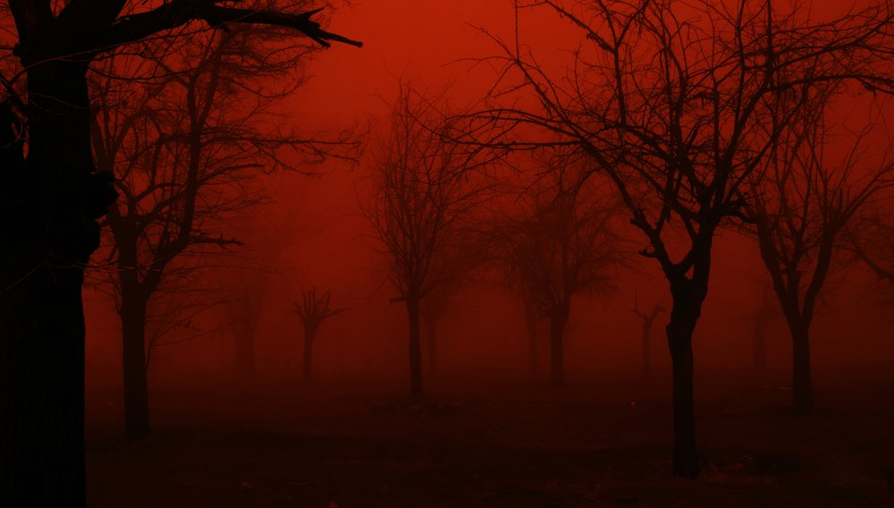 Photograph by Farshad Yazdankhah