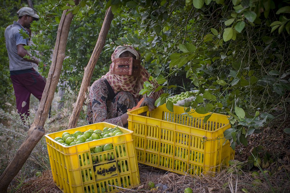 Photograph by  majid