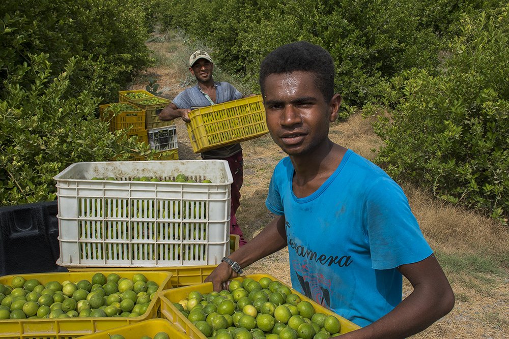 Photograph by  majid