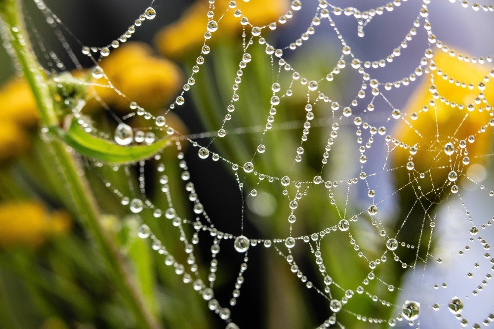 Хрустальные бусы