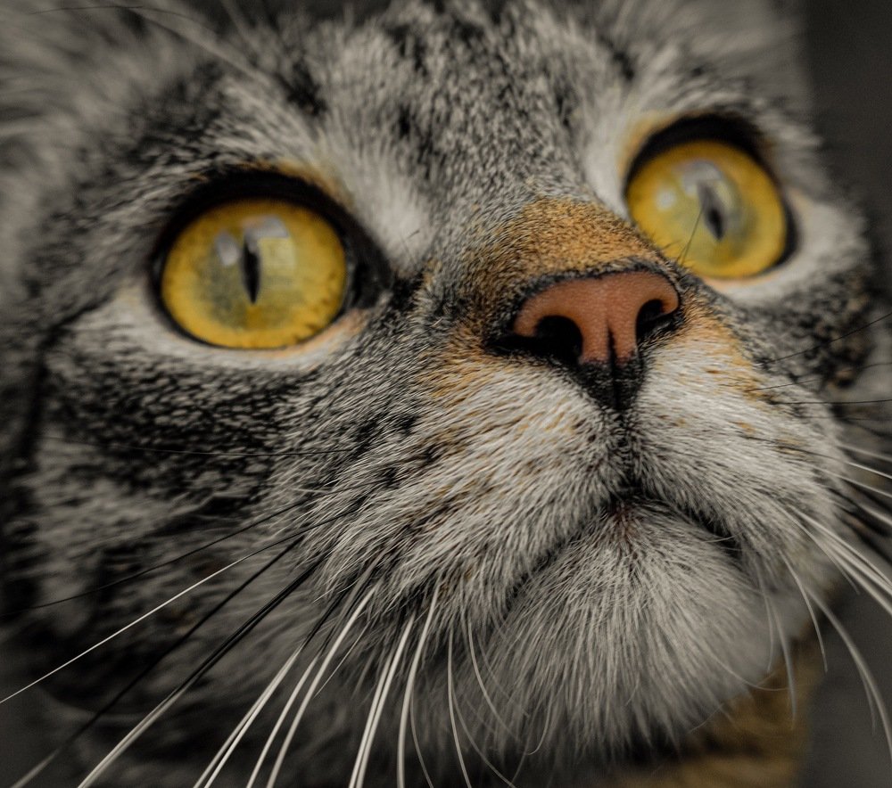 Photograph by Оксана Лукшина