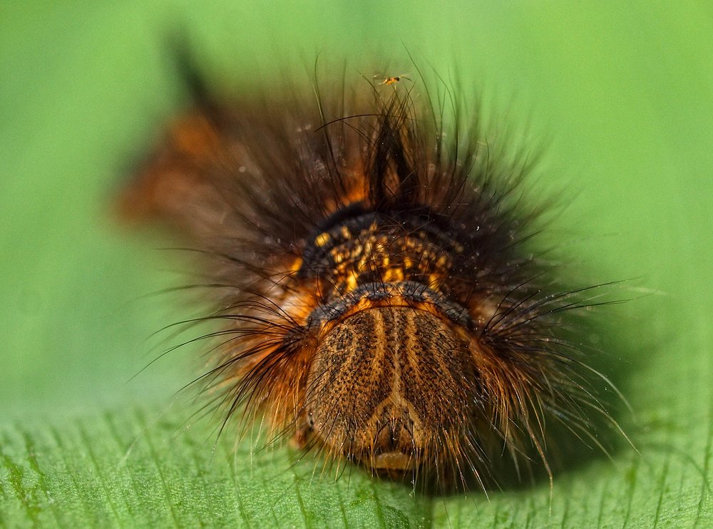 Photograph by Марина Брыдня