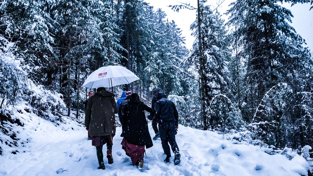 Footprints in Season