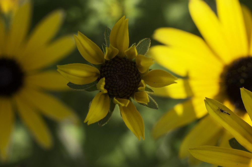 Фотография автора Анна Вигера