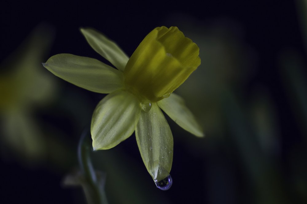 Фотография автора Анна Вигера