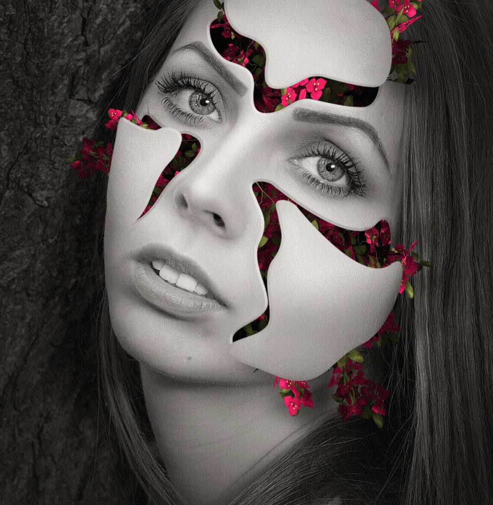 Photograph by Doncho Photo D.N.