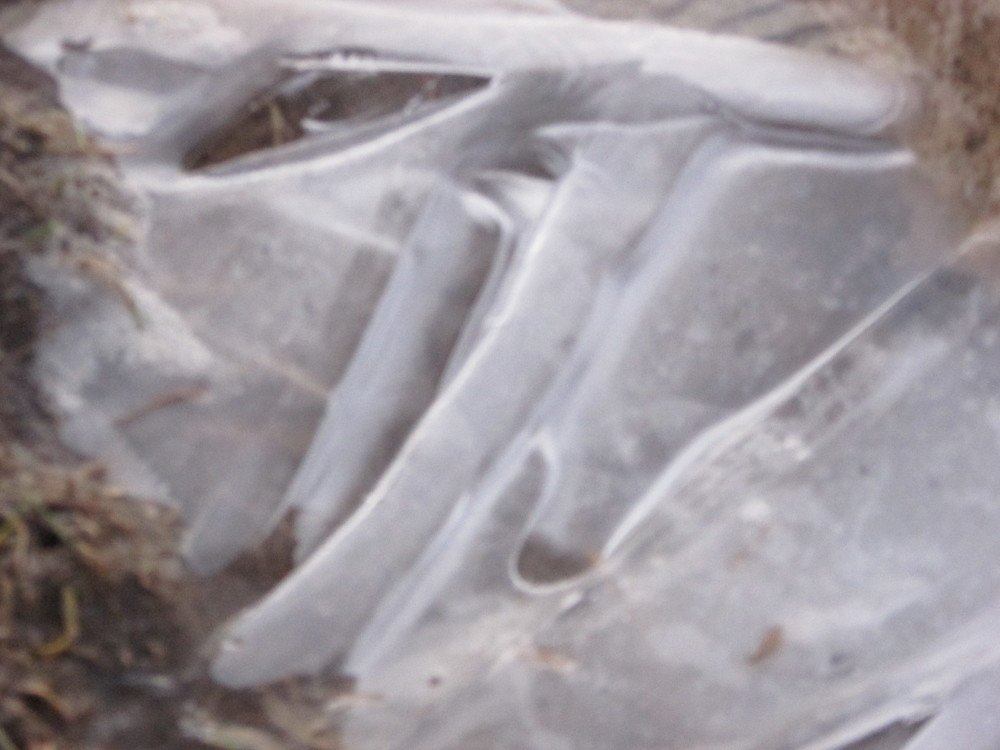 Photograph by Марина Цекова