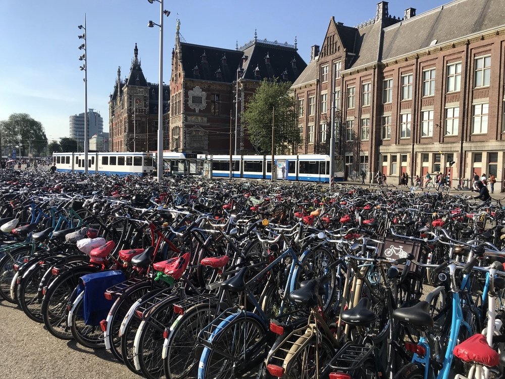 Photograph by Galina Baranovskaja