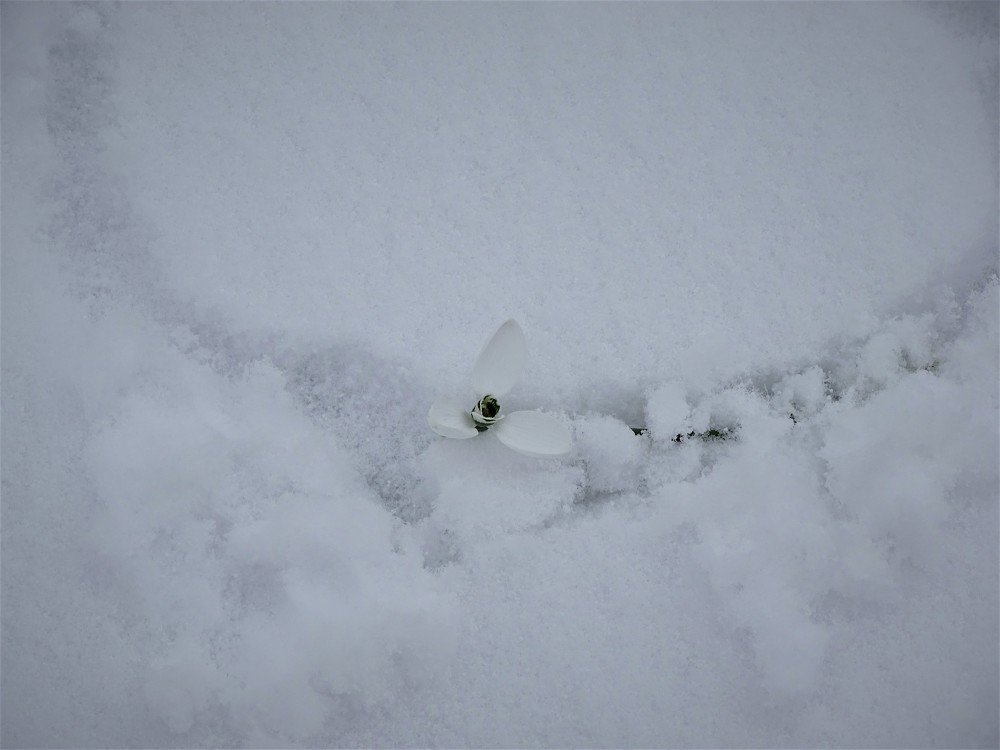 Photograph by Марина Цекова