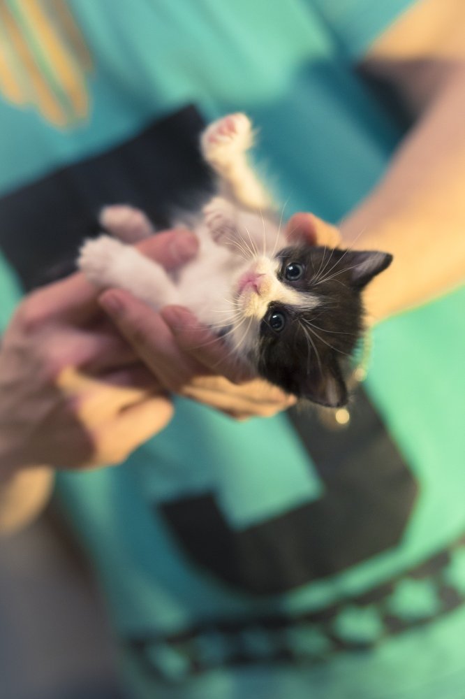 Photograph by Виктория Пшенникова