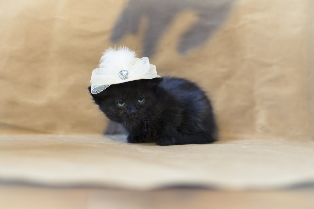 Photograph by Виктория Пшенникова