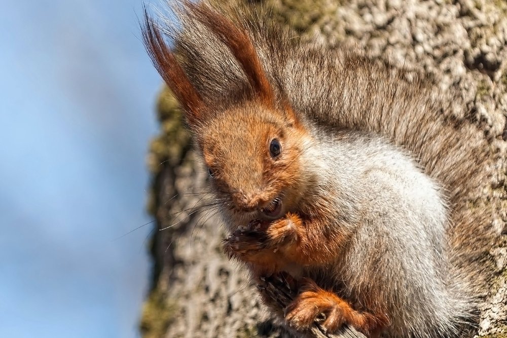 Photograph by Андрей Шевченко