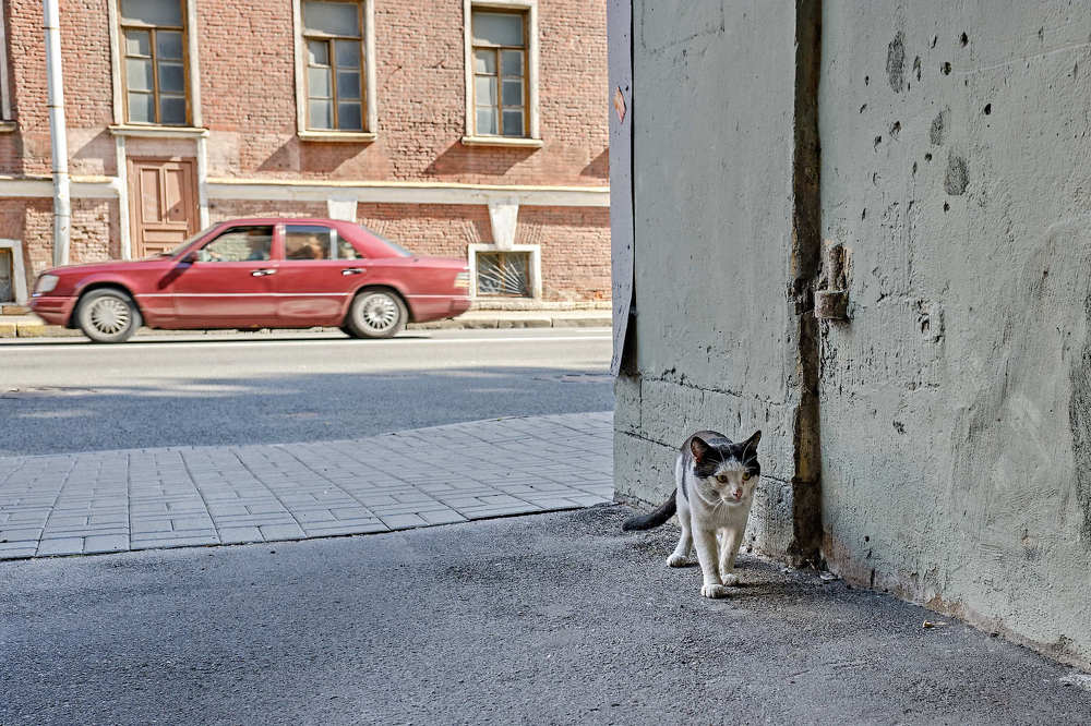 Photograph by Алексей Бойков