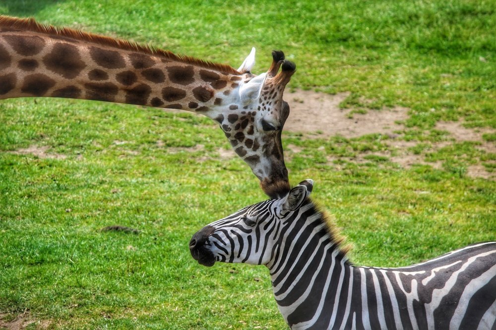 Фотография автора Anandhu M