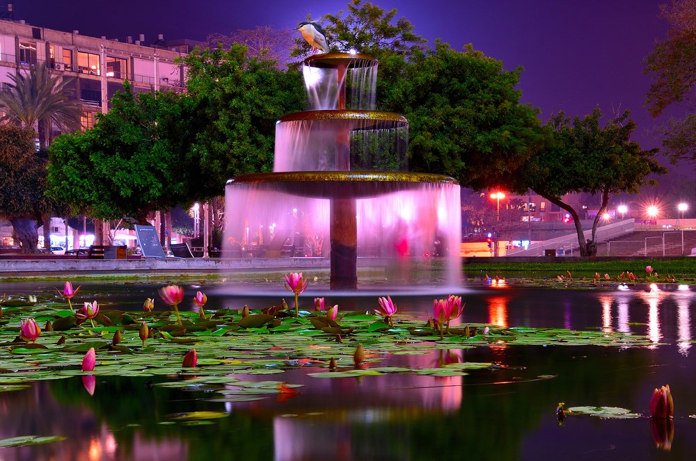 Фонтан с ночной птицей