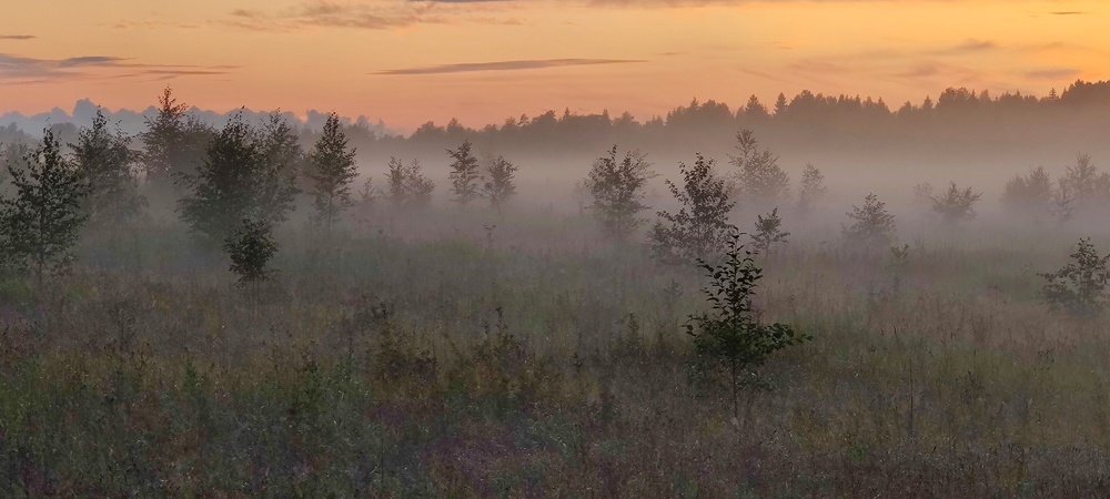 Photograph by Дмитрий Щелкунов