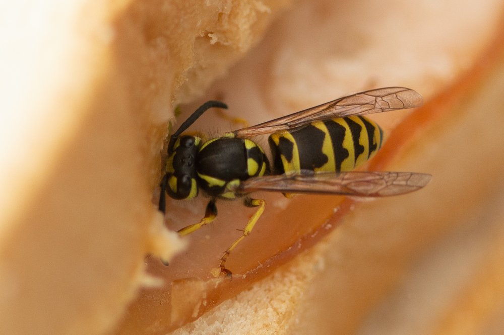 Photograph by Giga Kokoladze