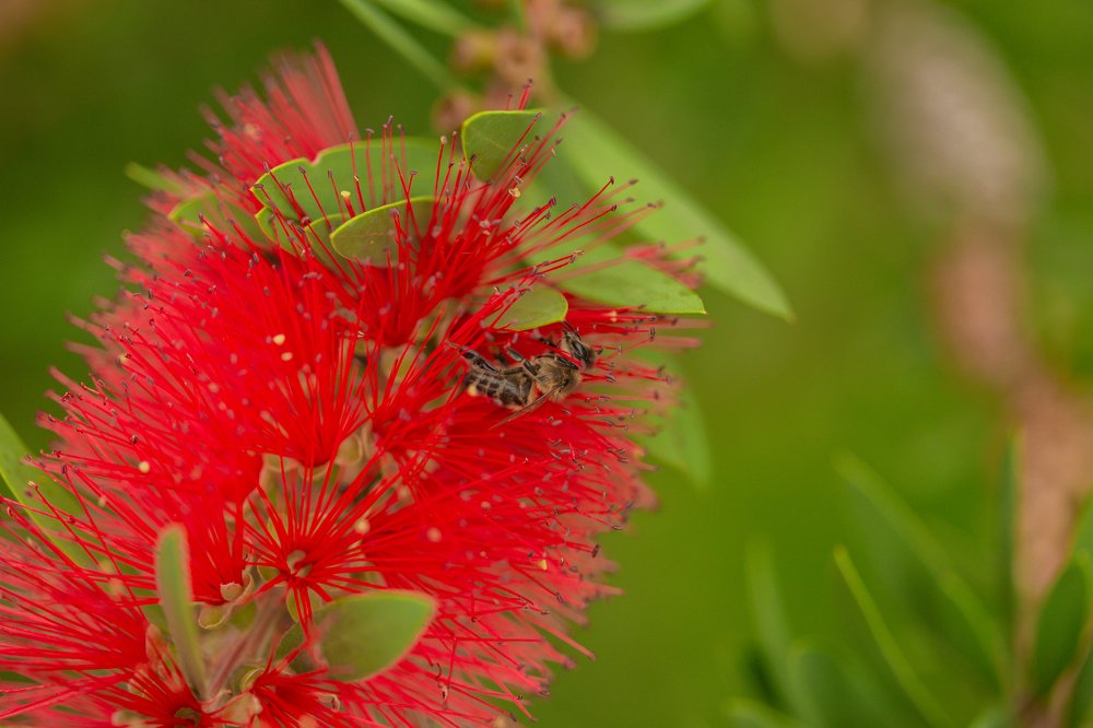 Photograph by Giga Kokoladze