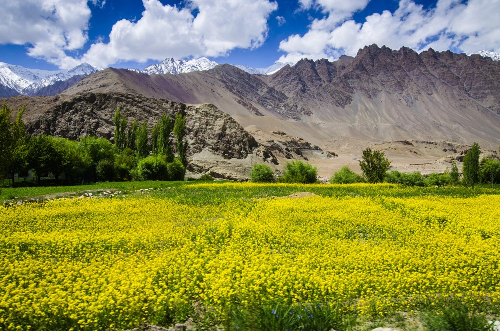 Photograph by Dattaram Gawade