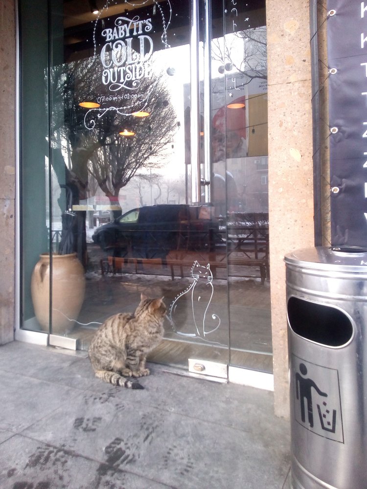 Photograph by Геворг Тоноян