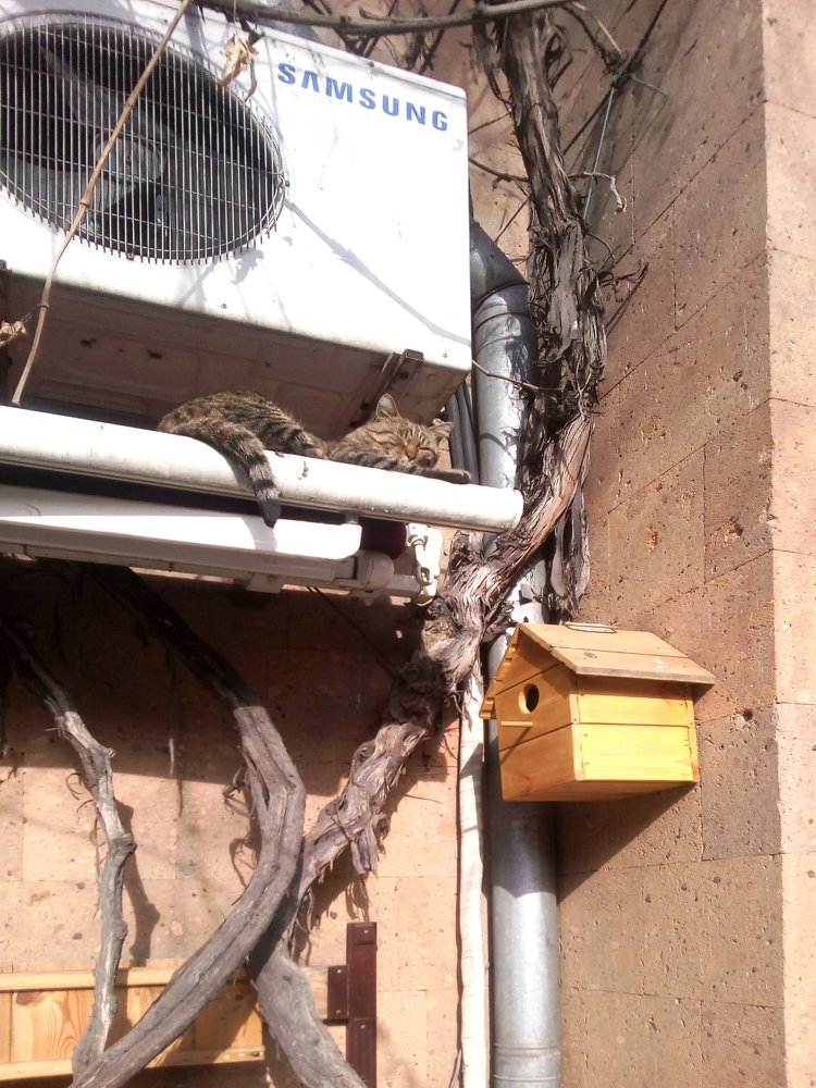 Photograph by Геворг Тоноян