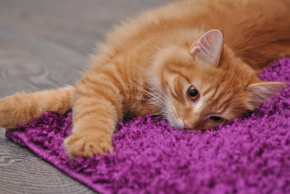 Photograph by Наталья Быстрая