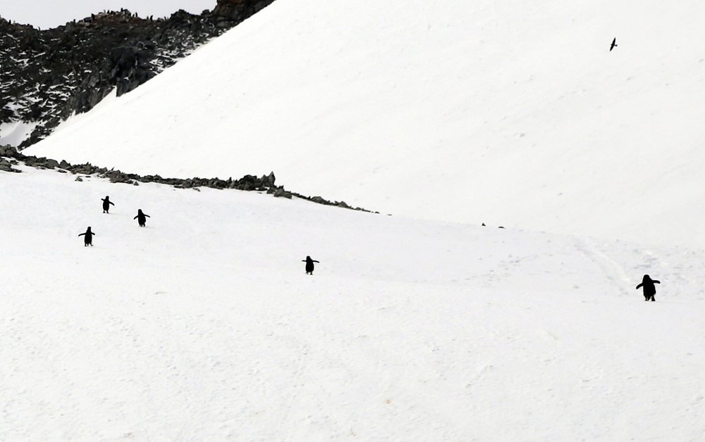 Долгий путь домой