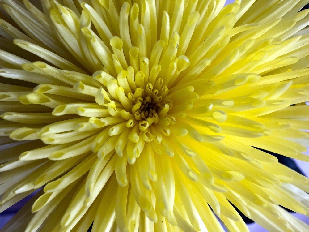 Photograph by Марина Дикманн