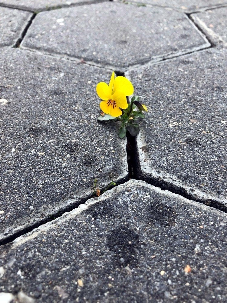 Photograph by Марина Дикманн