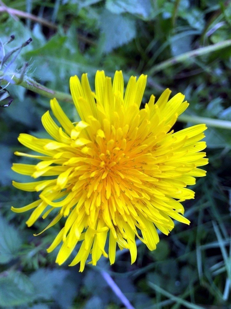 Photograph by Марина Дикманн