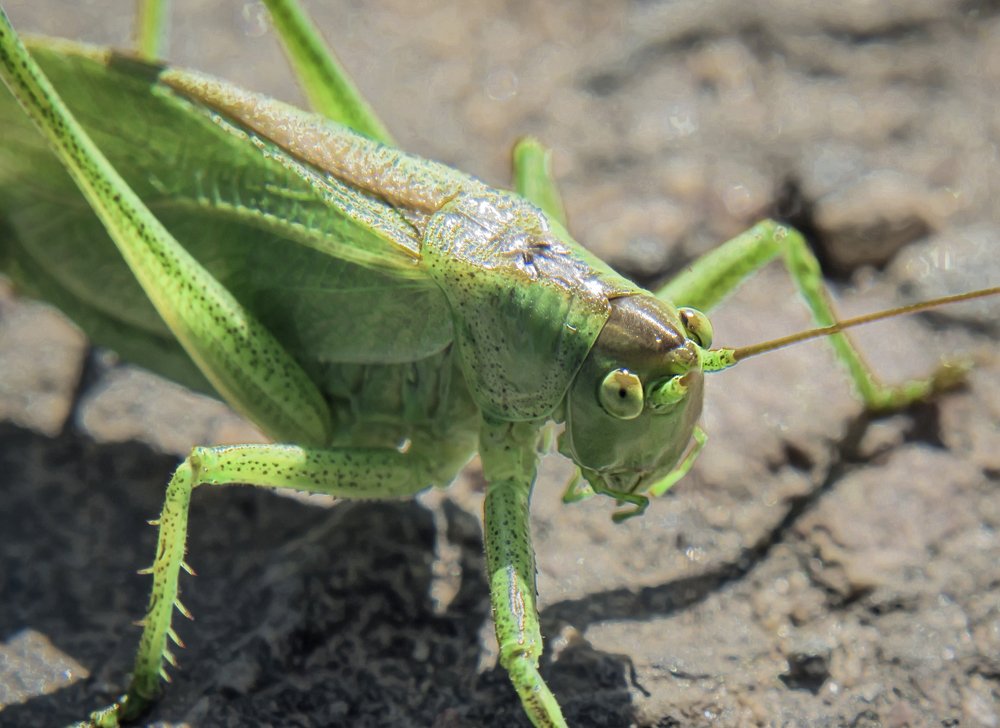 Photograph by Ekaterina Fadeeva