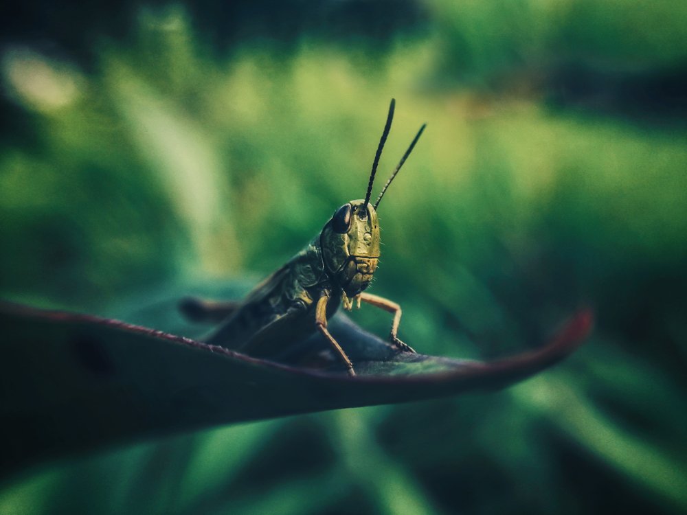 Photograph by Ekaterina Fadeeva